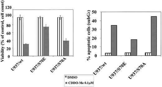 Fig. 9. Partial protection from CDDO-Me–induced apoptosis conferred by the U937/S70E Bcl-2 mutant. / Stable transfectants of U937 cells using a serine→alanine Bcl-2 mutant, S70A, and a Ser→Glu mutant, S70E, as well as U937/wt Bcl-2, were exposed to 0.1 μM CDDO-Me for 24 hours. Viability was determined by cell count with trypan blue exclusion, and apoptosis was measured by sub-G1 flow cytometry (acridine orange). S70E, which may mimic a potential phosphate charge, suppressed the CDDO-Me–induced apoptosis.