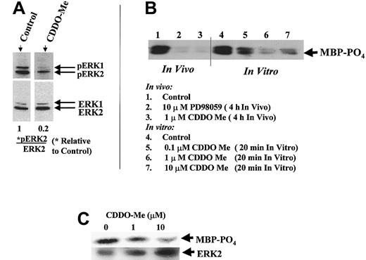 Fig. 10. CDDO-Me inhibits ERK1/2 activation–phosphorylation. / (A) Western blot analysis of U937 cells revealed inhibition of ERK1/2 phosphorylation (pERK1/2) after 1 μM CDDO-Me treatment for 3 hours but no effect on ERK1/2 protein levels (ERK1/2). The intensity of the bands was quantitated by densitometry and expressed as a ratio of pERK2/ERK2 relative to the control value. (B) K562 cells were treated in vivo for 4 hours with 1 μM CDDO-Me, and lysate of these cells was used in the in vitro assay (lanes 1-3). As a negative control, a lysate containing inactive ERK1/2 was used in the assay (after 4-hour treatment of intact K562 cells with 10 μM MEK inhibitor PD98059). Phosphorylation of ERK substrate MBP was observed using an anti–phospho-MBP antibody after SDS-PAGE. In a parallel experiment, active ERK was immunoprecipitated from K562 cells treated with 0.1, 1, and 10 μM of CDDO-Me in vitro, and MBP was added as substrate with a cocktail of kinase inhibitors (lanes 4-7). (C) Active ERK was immunoprecipitated from HL-60 cells, and kinase activity was determined by MBP phosphorylation. The amount of ERK2 immunoprecipitated from each sample was determined by using anti-ERK2 antibody.
