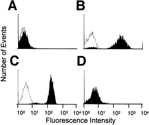 Fig. 1. Expression of Mac-1 and LFA-1 on neutrophils. / (A) LFA-1−/− mouse stained with LFA-1 mAb, TIB217. (B) LFA-1−/− mouse stained with Mac-1 mAb, M1/70. (C) Mac-1−/− mouse stained with TIB217. (D) Mac-1−/− mouse stained with M1/70. Clear areas represent background (isotype control).