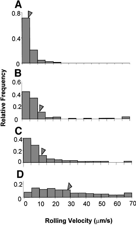 Fig. 2. Rolling velocity histograms. / (A) Wild-type, n = 220; (B) Mac-1−/−, n = 229; (C) LFA-1−/−, n = 399; and (D) CD18−/−, n = 100 mice. Not stratified by wall shear rate. Arrows indicate mean value.