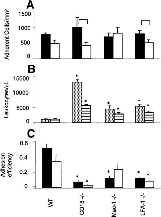 Fig. 5. Adhesion efficiency. / (A) Number of adherent (> 30 seconds) leukocytes/mm2. Closed bars indicate low shear venules (200-500 s−1); open bars, high shear venules (500-1000 s−1). (B) Systemic leukocyte counts measured in TNF-α–treated mice. Dotted, PMN, striped, mononuclear cells. (C) Overall adhesion efficiency. The number of adhered leukocytes/mm2 was normalized by the systemic leukocyte counts to determine overall adhesion efficiency. Closed bars represent low shear rate range (200-500 s−1); open bars represent high shear rate range (500-1000 s−1). Data presented as mean ± SEM. Significant differences between shear rate groups indicated by brackets in panel A and differences from wild-type mice indicated by asterisk in panels B and C (P < .05). Table 1 lists numbers of mice and venules.