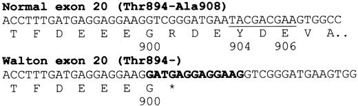 Fig. 1. DNA sequence changes in band 3 Walton. / Shown is the 13-bp insertion in band 3 Walton (bold) and the 9-bp deletion (underlined) in band 3 Walton corresponding to Tyr904-Glu906 of normal band 3.
