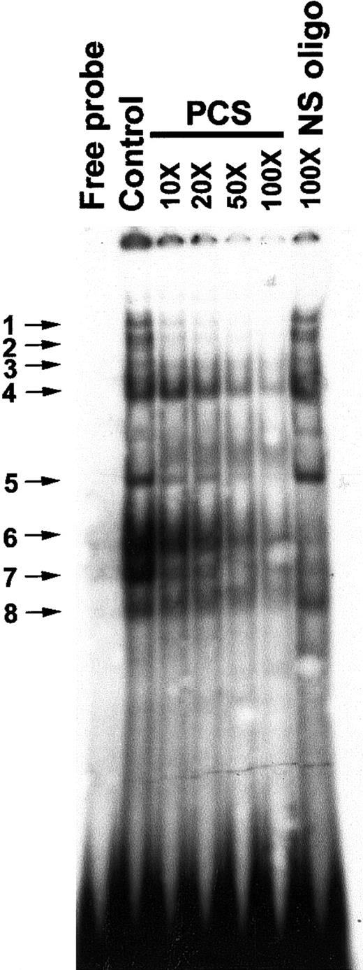 Fig. 2. Electrophoretic mobility shift assay (EMSA) to show in vitro sequence-specific binding of proteins to the PCS. / The control lane displays EMSA bands obtained by incubating 5 μg nuclear extract with 2 ng 32P-labeled double-stranded PCS (oligo 1). In oligonucleotide competition assays, the32P-labeled double-stranded PCS of the β-promoter (oligo 1) was mixed with various amounts (molar excesses) of nonradioactive PCS-DNA as indicated at the top of the figure. A double-stranded oligonucleotide from −142 to −171 bp relative to the transcription start site of the β-promoter was used as a nonspecific (NS) oligonucleotide (oligo 25 and 26). The band between band 4 and 5 inconsistently appears on the gel. The EMSA bands are numbered and indicated by arrows.