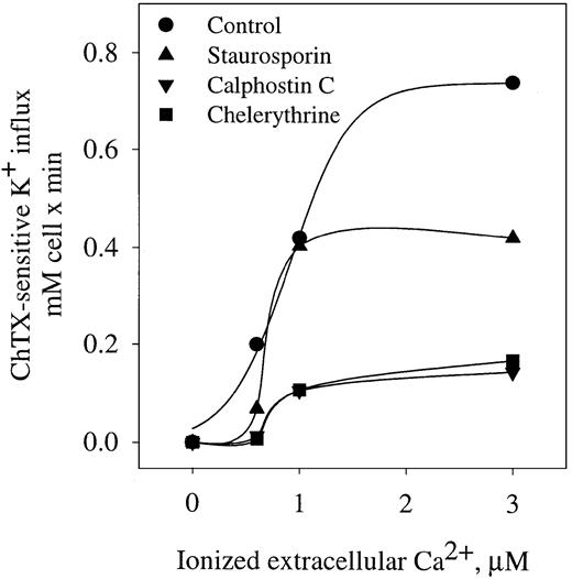 Fig. 6. Effect of PKC inhibitors on ChTX-sensitive K+ influx in normal erythrocytes. / Cells were preincubated with the different inhibitors of PKC, and K+ influx was determinate as a function of ionized extracellular Ca++ in the presence of A23187 as described in “Materials and methods.” Staurosporin, 5 μM; calphostin C, 1 μM; chelerythrine, 10 μM. Values are means of triplicate determinations.