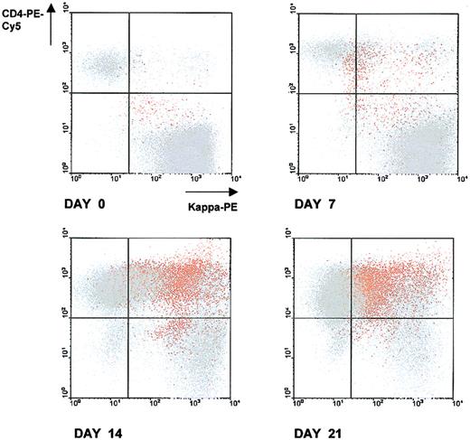Fig. 1. Conjugate formation between autotumor reactive CD4+ T cells and malignant B cells in CD4+ T/malignant B-cell cocultures, accumulation of CD138+ cells, and preferential localization of CD138+ cells within conjugates. / After various time intervals, cells were harvested, triple stained with anti-CD4–PE-Cy5, kappa-PE, and CD138-FITC Abs, and analyzed by flow cytometry. At analysis, CD138+ cells were gated and colored in orange; CD138− cells were colored in grey. CD138+ and CD138− cells were then simultaneously visualized on dot plots with CD4-PE-Cy5/kappa-PE parameters. 50 000 events were collected for each dot plot. The quadrant statistics cursors were set using appropriate negative control antibodies. Results are from 1 representative experiment of the 5 performed.