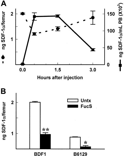 Fig. 3. Levels of SDF-1 are reduced in BM of FucS-treated animals. / (A) SDF-1α levels in BM (circles and dashed lines) and PB (squares and solid lines) taken from the same BDF1 mice shown in Figure1C. Values at 0.5 and 1.5 hours compared with untreated controls (n = 5 per group) were statistically significant by the Studentt test for BM (P < .0001) and PB (P < .000 001) and at 3 hours for PB (n = 5;P < .000 001) but not for BM (n = 3). (B) SDF-1α levels in BM of BDF1 or B6/129 mice untreated (open bars) or 3 hours after the last of 3 intravenous injections of 100 mg/kg/d (closed bars). Values of treated compared with untreated controls were statistically significant by the Student t test (*P < .001, **P < .000 001, all groups n = 5).