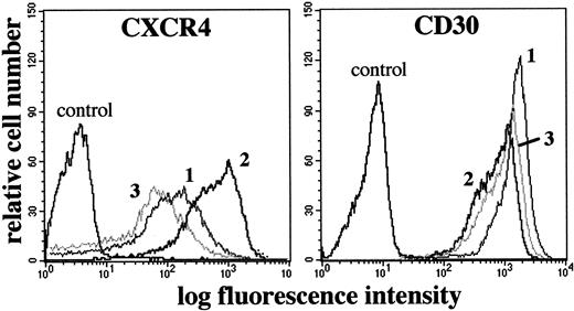 Fig. 3. Flow cytometric analysis of CXCR4 and CD30 expression in the L540 cells. / 1 × 106 cells resting (1) or stimulated for 72 hours with plastic-bound anti-CD30 agonistic mABs M67 (10 μg/mL) (2) or PMA/ion (15 ng/mL PMA + 500 ng/mL ionomycin) (3) were stained with anti-CXCR4-PE and anti-CD30-FITC mAbs and isotype/fluorochrome matched controls. Compared with resting cells (1), M67 (2), but not the nonagonistic anti-CD30 mAb BerH2, induced a clear-cut increase in CXCR4 and a decrease in CD30 MFI, whereas PMA/ion (3) induced a decrease in both CXCR4 and CD30 MFI. The experiment depicted is representative of 10.