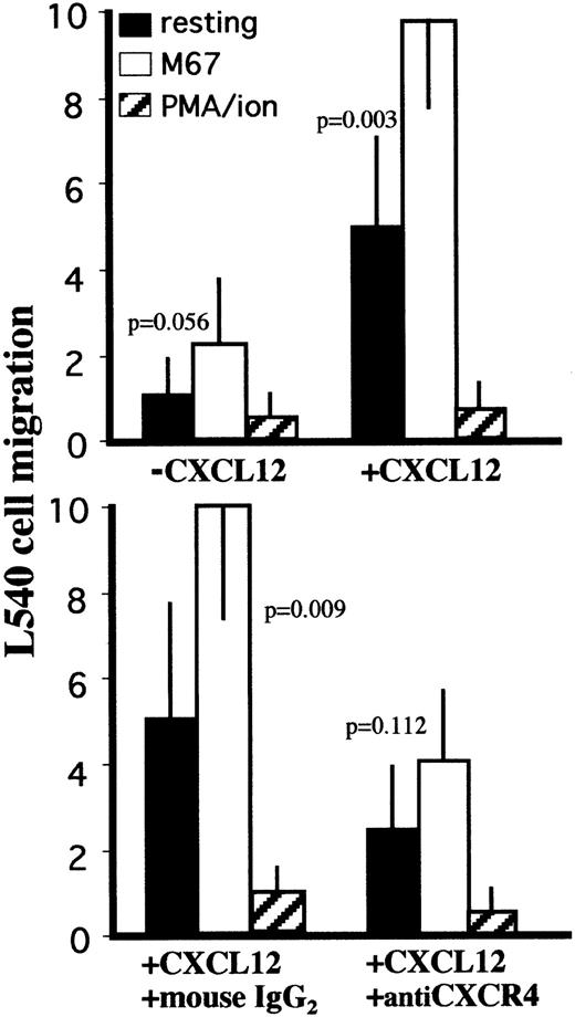 Fig. 4. Effect of CD30 ligation on CXCL12-induced chemotaxis in the L540 cells. / 5 × 105 cells resting or stimulated with PMA–ion (15 ng/mL PMA + 500 ng/mL ionomycin), plastic-bound anti-CD30 agonistic mAb M67 (10 μg/mL), or BerH2 (or anti-CD34 isotype-matched mAb) as a control were subjected to chemotaxis through 8-μm pore Transwell filters to CXCL12 (200 ng/mL) in the lower chamber. Stimulation with M67 increased the sensitivity of L540 cells to the chemotactic effect of CXCL12. The increase in sensitivity was inhibited after 60 minutes of preincubation with neutralizing anti-CXCR4 mAb (12G5, 50 μg/mL). Data are expressed as mean ± SD of 5 experiments.