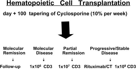 Fig. 1. Treatment plan and timing of donor lymphocyte infusions. / CT indicates chemotherapy; CD3, CD3+ donor lymphocytes.