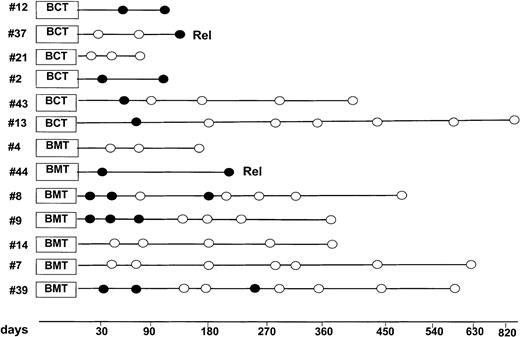 Fig. 4. Molecular monitoring of minimal residual disease after transplantation. / White and black dots represent PCR negativity and positivity, respectively. Rel indicates relapse; BCT, blood cell transplantation; BMT, bone marrow cell transplantation.