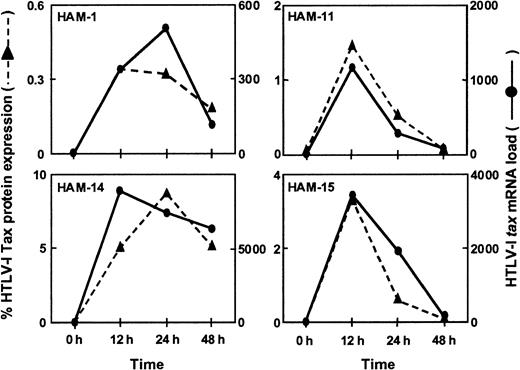 Fig. 5. Correlation between HTLV-1. / tax mRNA load and HTLV-1 Tax protein expression in vitro. PBMCs from 4 HAM/TSP patients were cultured for 48 hours. Cultured PBMC samples were harvested after 0, 12, 24, and 48 hours to estimate HTLV-1tax mRNA load and the percentage of HTLV-1 Tax protein expressing cells. HTLV-1 Tax protein expression closely followed HTLV-1tax mRNA expression in the PBMCs from these individuals.