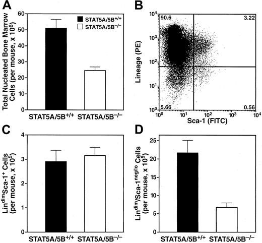 Fig. 2. Decreased total nucleated cells in the bone marrow of STAT5A/5B-deficient mice. / Total nucleated cells were obtained from both hind legs, and cell counts were determined after red blood cell lysis. Subsetting was performed according to surface expression of lineage-defining markers and Sca-1. Absolute values were generated by multiplying gated percentages by total nucleated cell numbers. (A) Total nucleated cells (P = .002). (B) Representative FACS analysis to quantitate bone marrow subsets. (C) The lindimSca-1+compartment, containing HSCs (P = .7). (D) The lindimSca-1neg/lo compartment, containing post-HSC progenitors (P = .002). PE indicates phycoerythrin; FITC, fluorescein isothiocyanate.