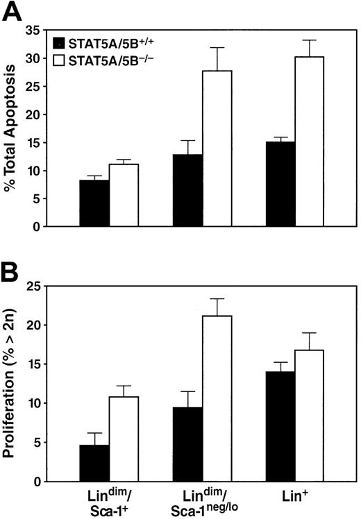 Fig. 5. Increases in apoptosis and in the proportion of cells in S/G2/M in bone marrow of STAT5A/5B-deficient mice. / Whole bone marrow from the indicated mice was stained for apoptosis or DNA content measurements in conjunction with antibodies to lineage markers and Sca-1. (A) Percentage of apoptotic cells in the lin+ (P = .04), lindimSca-1neg/lo post-HSC progenitors (P = .03), and lindimSca-1+ HSC (P = .04) subsets in STAT5A/5B−/− and STAT5A/5B+/+ mice are shown. (B) Percentage of cells with more than 2n DNA content for the lin+(P = .2), lindimSca-1neg/lopost-HSC progenitors (P = .01), and lindimSca-1+ HSC (P = .005) subsets are shown.
