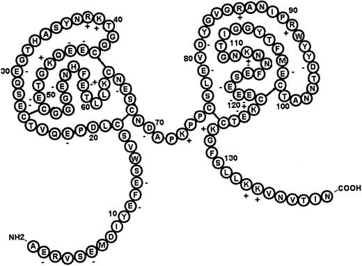 Fig. 2. Predicted secondary folding structure for Ixolaris. / Disulfide bonds are assumed on the basis of the crystal structure of bovine pancreatic trypsin inhibitor.36 The charges of the amino acid side chains are shown. Predicted N-linked glycosylation sites are Asn65, Asn98, and Asn136.