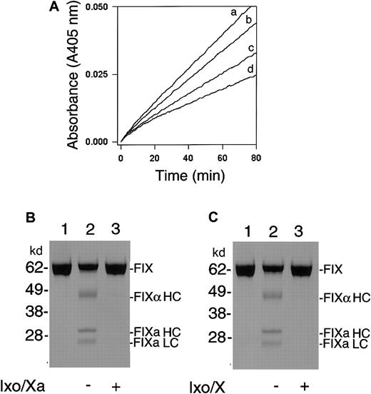 Fig. 8. Kinetics of Ixolaris/FXa and FVIIa/TF interaction. / (A) Amidolytic assays. Ixolaris (10 nM) and DEGR-FXa (0-10 nM) were incubated for 15 minutes in the presence of S2288 (1 mM) followed by the addition of FVIIa/TF (1 nM). a, Ixolaris; b, Ixolaris plus 0.1 nM DEGR-FXa; c, Ixolaris plus 1 nM DEGR-FXa; d, Ixolaris plus 10 nM DEGR-FXa. (B,C) FIX activation assays: (B) Lane 1, buffer; lane 2, Ixolaris only (10 nM); or lane 3, Ixolaris/DEGR-FXa (10 nM each) were incubated for 15 minutes, followed by addition of FIX (1.2 μM). Five minutes later reaction was initiated by FVIIa/TF (1 nM) (except lane 1, which was not allowed to proceed) and followed as described in Figure7A. (C) Lane 1, buffer; lane 2, Ixolaris (10 nM); or lane 3, Ixolaris/DEGR-FX (10 nM each) were incubated for 15 minutes, followed by addition of FIX (1.2 μM). Five minutes later reaction was initiated by FVIIa/TF (1 nM) (except lane 1, which was not allowed to proceed) and followed as described in Figure 7A. In panels B and C reactions were stopped as described in Figure 7A. The bands correspond to (from the top): uncleaved FIX (FIX), the heavy chain of FIXα (FIXα HC), the heavy chain of FIXaβ (FIXa HC), and the light chain of FIXa (FIXa LC). The activation peptide is not detected. Typical gels are shown (n = 3).
