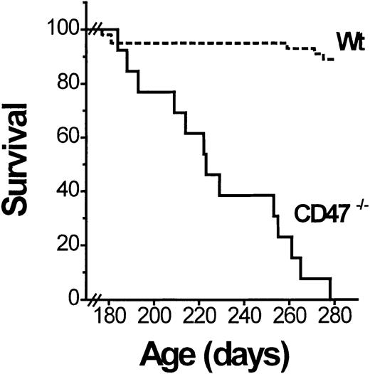 Fig. 1. Nondiabetic CD47−/− but not wild-type (wt) NOD mice succumb to AIHA. / A cohort of CD47−/− (n = 18) and wild-type (CD47+/+ or CD47+/−; Wt; n = 44) NOD mice was followed for development of lethal AIHA. Survival data are shown as a Kaplan-Meier plot. All CD47−/− mice in this figure developed AIHA, whereas the small loss of wild-type mice was unrelated and due to the development of diabetes.