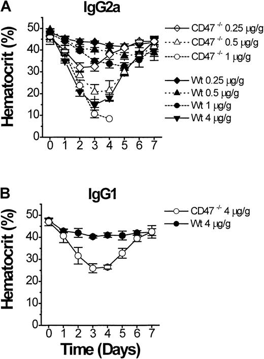 Fig. 4. Experimental AIHA in CD47−/− and wild-type (CD47+/+) C57BL/6J mice. / Experimental AIHA was induced in CD47−/− (open symbols) or wild-type (closed symbols) C57BL/6J mice by using (A) the antimouse RBC mAb 34-3C (mouse IgG2a), or (B) the antimouse RBC mAb 105-2H (mouse IgG1). The indicated amount of mAb 34-3C or 105-2H per gram body weight was given as an intraperitoneal injection on day 0. The mice were then followed daily for weight and hematocrit for 7 days after injection. CD47−/− mice that received 1 μg mAb 34-3C/g body weight (panel A, open circles) succumbed at day 3 to 4 of the experiment. Data are mean ± SD for 3 to 4 mice in each group.