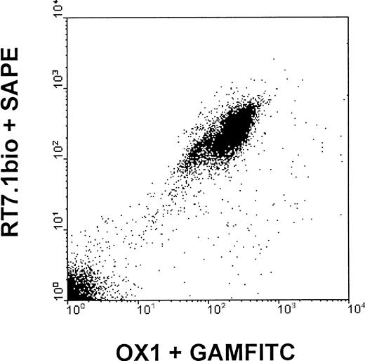 Fig. 2. Correlated expression of OX1 and anti-RT7a mAb (equals anti-RT7.1 mAb). / LEW.1W peripheral blood leukocytes (gained as described) were incubated with anti-RT7abio and phycoerythrin-conjugated streptavidin followed by nonlabeled OX1 mAb and FITC-conjugated GAM. Correlated expression is depicted in a representative 2-color FACS stain. Staining the mAbs in a different order gave equal results.