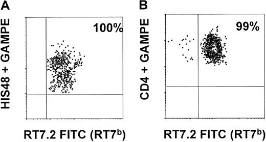 Fig. 6. Myeloid BM precursors and thymic T-cell precursors in rescue animals are of donor origin. / On days 100 and 209, a single animal of the rescue group was killed. BM cells prepared from long bones were stained with CD90 (THY1), HIS48, and RT7.2FITC (detecting RT7b-positive donor cells). As shown in panel A, 100% of THY1+HIS48+ BM cells were of donor origin (RT7b-positive). Thymic cells (prepared as described) were stained with CD4 (W3/25), CD8 (OX8), and RT7.2 FITC. As shown in panel B, 99% of CD4+CD8+ thymic cells were of RT7b allotype.