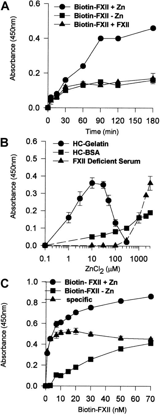 Fig. 1. Biotin-FXII binding to HUVEC monolayers. / (A) HUVEC monolayers (4 × 104 cells per well) were incubated with 10 nM biotin-FXII for 0 to 180 minutes at 37°C in the presence (●) or absence (▪) of 10 μM Zn2+ or in the presence of 10 μM Zn2+ and 200-fold molar excess of unlabeled FXII (▴). (B) HUVEC monolayers (4 × 104cells per well) were incubated with 10 nM biotin-FXII for 0 to 180 minutes at 37°C in HEPES carbonate gelatin buffer (HC-Gelatin) (●), HCB containing 40 mg/mL bovine serum albumin (HC-BSA) (▪), or FXII-deficient serum (▴) in the absence or presence of increasing concentrations of Zn2+ (0.1-3000 μM). (C) HUVEC monolayers (4 × 104 cells per well) were incubated with increasing concentrations of biotin-FXII (1-70 nM) for 90 minutes at 37°C in HEPES carbonate gelatin buffer in the presence (●) or absence (▪) of 10 μM Zn2+. The specific binding curve (▴) is calculated by subtracting binding in the absence of added Zn2+ from that in the presence of Zn2+. Biotin-FXII binding to the cells was determined using ImmunoPure streptavidin horseradish peroxidase conjugate and peroxidase-specific fast-reacting substrate, turbo-TMP (see “Materials and methods”). Bound biotin-FXII was quantified by measuring the absorbance of the reaction mixture at 450 nm using a microplate autoreader EL 311 (Bio-Tek Instruments). The results presented are the means ± SEM of 3 independent experiments.