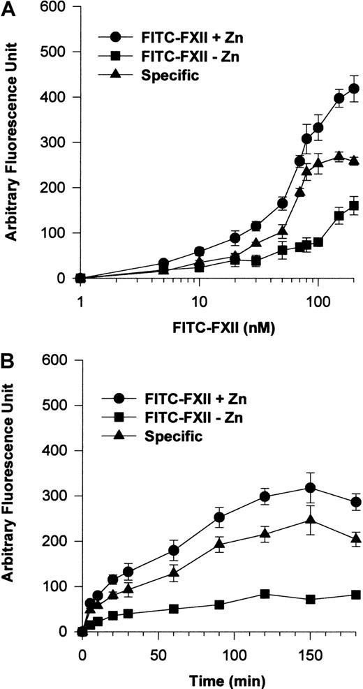 Fig. 2. FITC-FXII binding to HUVECs in suspension. / (A) HUVECs (4 × 104 cells per well) in suspension were incubated with 1 to 200 nM FITC-FXII for 120 minutes at 37°C over a PVDF membrane in the presence (●) or absence (▪) of 10 μM ZnCl2. The specific binding curve (▴) is calculated by subtracting binding in the absence of Zn2+ from binding in the presence of Zn2+. (B) HUVECs (4 × 104cells per well) in suspension were incubated with 70 nM FITC-FXII for 0 to 180 minutes at 37°C over a PVDF membrane in the presence (●) or absence (▪) of 10 μM ZnCl2. The specific binding curve (▴) is shown. At the end of the incubation, the cells were washed and the HUVEC-bound FITC-FXII was quantified by using CytoFluor4000 plate reader. The results presented are the means ± SEM of 3 to 5 independent experiments.