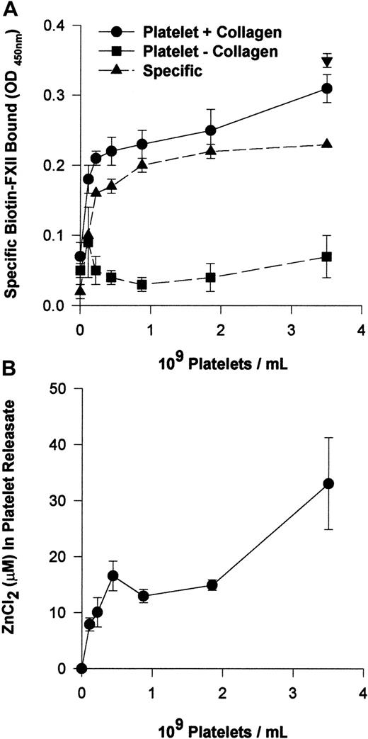 Fig. 3. Collagen-stimulated platelets promote FXII binding to HUVEC monolayers. / (A) Washed human platelets (0.1 × 109 to 3.5 × 109/mL) in HCB, pH 7.4, with no added Zn2+ were incubated over washed HUVEC monolayers in microtiter plate cuvette wells in the same buffer in the presence of 10 nM biotin-FXII and the presence (●) or absence (▪) of 5 μg/mL collagen for 90 minutes at 37°C on a rotating shaker. Specific biotin-FXII binding (▴) was determined by subtracting the level of binding seen with unactivated platelets from that occurring with collagen-activated platelets. At the completion of the incubation, the microtiter plate cuvette wells were washed and the amount of biotin-FXII bound to the HUVECs was determined as described in the legend to Figure 1. The single symbol ▾ represents 10 nM specific biotin-FXII binding in HCB, pH 7.4, containing 10 μM Zn2+in the absence of platelets. (B) The concentration of Zn2+was determined in the releasate of collagen-activated platelets (0.1 × 109 to 3.5 × 109/mL) after the level of Zn2+ in the suspension media of unactivated platelets was subtracted. The concentration of Zn2+ was determined by a colorimetric assay (see “Materials and methods”). The results presented for both panels are the means ± SEM for 5 experiments.