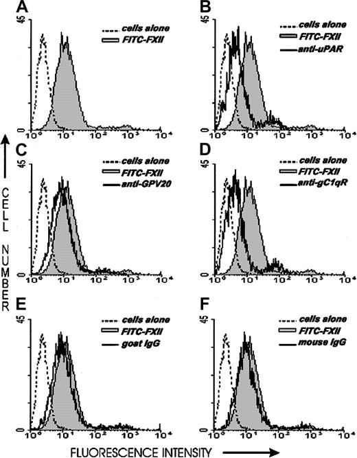 Fig. 6. Flow cytometry of FITC-FXII expression on HUVECs. / Flow cytometry was performed with suspensions of washed, unfixed, and nonpermeabilized HUVECs (5 × 106/mL). HUVECs were incubated for 1 hour at 37°C in HCB containing 10 μM ZnCl2 in the presence (shaded curve) or the absence (dotted curve) of 70 nM FITC-FXII or in the presence of 70 nM FITC-FXII (solid curves) and mouse anti-uPAR (4 μg/mL), goat anti-GPV20 (300 μg/mL), mouse anti-gC1qR (4 μg/mL), goat IgG (300 μg/mL), or mouse IgG (4 μg/mL). The binding of these antibodies to HUVECs was detected by a shift in the solid curve to the left in comparison to FITC-FXII alone (shaded curve). The figure is a representative presentation of 3 independent experiments.