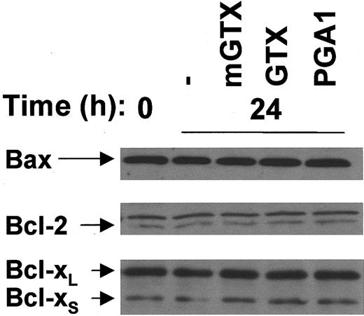 Fig. 5. Complete inhibition of NF-κB does not affect Bax, Bcl-2, and Bcl-xL/S expression in human monocytes. / (A) Monocytes were isolated from buffy coats by negative magnetic selection and cultured for 24 hours with or without 5 μM mGTX, 5 μM GTX, or 96 μM PGA1. Whole-cell extracts were analyzed by immunoblotting for Bax, Bcl-2, and Bcl-xL/S expression. Comparable results were obtained in at least 3 experiments.