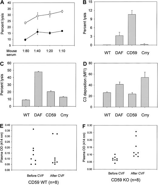 Fig. 3. Increased susceptibility of CD59a-deficient mouse erythrocytes to induced complement lysis. / (A) Antibody-induced complement lysis of wild-type (filled circle; n = 3 mice) and CD59a knockout (open circle; n = 3) mouse erythrocytes by MAC assembled from human C5b-7 and mouse C8/C9. Antibody-sensitized cells were sequentially exposed to C8-depleted human serum (1:20) and mouse serum at the indicated dilutions.P < .05 for all serum dilutions by Student ttest. (B) Antibody-induced lysis by rat complement (1:20) of wild-type (WT), DAF knockout (DAF), CD59a knockout (CD59), and Crry/C3 knockout (Crry) mouse erythrocytes (n = 4 mice for each group). DAF and CD59a knockout cells were significantly more sensitive than wild-type cells (P < .05 andP < .001, respectively, by Student t test). Crry/C3 knockout erythrocytes were not more sensitive than wild-type cells. (C) Antibody-induced lysis by human complement (1:40) of wild-type and various knockout mouse erythrocytes (n = 4 mice for each group). All knockout erythrocytes were more sensitive than wild-type cells to human complement lysis (P < .001 for DAF and CD59a knockout;P < .01 for Crry/C3 knockout; Student t test). (D) Antibody-induced mouse C3 deposition on wild-type and various knockout mouse erythrocytes (n = 8 mice for each group). CD59a knockout mouse erythrocytes had levels of C3 deposition similar to those of wild-type mouse erythrocytes (P = .45, Student t test). Both DAF knockout and Crry/C3 knockout mouse erythrocytes had more C3 deposition than the wild-type cells (P < .01 for DAF knockout and P < .05 for Crry/C3 knockout mice, Student t test). C3 deposition on DAF knockout and Crry/C3 knockout mouse erythrocytes was not significantly different (P = .26, Student t test). (E) (F) CD59a-deficient mouse erythrocytes were more susceptible to CVF-induced autologous complement lysis. Injection of CVF (10 μg per mouse) caused systemic complement activation (data not shown) and increased plasma hemoglobin levels (measured by OD414) in knockout mice (panel F; n = 8 mice; P < .01, Student t test), but not in wild-type mice (panel E; n = 8 mice; P = .9, Student t test). Plasma samples were taken immediately before and 1 hour after CVF injections. Data presented are representative of at least 3 independent experiments.
