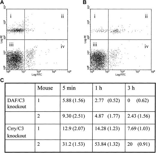 Fig. 6. Spontaneous C3 deposition in Crry-deficient and DAF-deficient mouse erythrocytes. / Crry-deficient mouse erythrocytes incur higher levels of spontaneous C3 deposition than DAF-deficient erythrocytes in vivo. Erythrocytes obtained from Crry/C3 knockout or DAF/C3 knockout mice were biotinylated and transfused into C57BL/6 wild-type recipients. Blood samples were taken at 5 minutes, 1 hour, and 3 hours, and erythrocytes were analyzed by 2-colored FACS, with PE staining for the transfused biotinylated knockout cells (quadrants i and ii) and FITC for C3 (quadrants ii and iv). Examples of the 2-colored FACS analysis are given in panels A and B (for DAF/C3 knockout and Crry/C3 knockout erythrocytes, respectively); examples were cells taken at 1 hour after transfusion. Percentages of the transfused knockout cells that were C3+ are calculated by the formula ii/(i+ii) × 100 and are given in panel C. The values for Crry/C3 knockout cells are significantly higher than those for DAF/C3 knockout cells (P < .05, Student t test). Percentages of the endogenous erythrocytes of the recipient mice that were C3+ are calculated by the formula iv/(iii+iv) × 100 and are given in brackets in panel C. No significant difference in such values is observed between mice that received Crry-deficient erythrocytes and mice that received DAF-deficient erythrocytes, suggesting that the difference observed with the transfused cells was specific and not an experimental artifact.