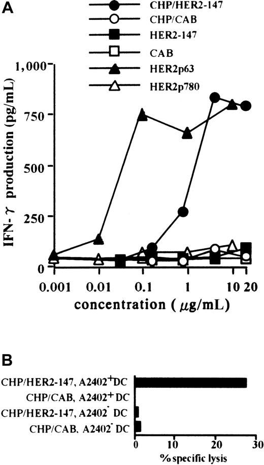 Fig. 1. DCs incorporating CHP/HER2-147 effectively present HER2p63 peptide on HLA-A2402 molecules. / (A) HLA-A2402+ DC (1 × 106) were cultured with 0.001 to 20 μg/mL CHP/HER2-147, CHP/CAB, HER2-147 protein, HER2p63, or HER2p780 at room temperature for 1 hour and were recultured for an additional hour at 37°C. DCs (1 × 105cells/well) were incubated with 5 × 104 cells/well Y.I.1a for 18 hours, and IFN-γ production was measured in duplicate using an ELISA kit. Data represent the average of duplicate measurements. (B) HLA-A2402+ (1 × 106) and HLA-A2402− DCs (1 × 106) were cultured with 20 μg/mL protein CHP/HER2-147 or CHP/CAB for 3 hours at 37°C, washed, recultured in 10% FCS RPMI 1640 alone for an additional 18 hours, and incubated with the CTL clone, Y.I.1a, for 5 hours at an effector-target ratio of 2.5. Cytotoxic activity was measured using 51Cr release assay.