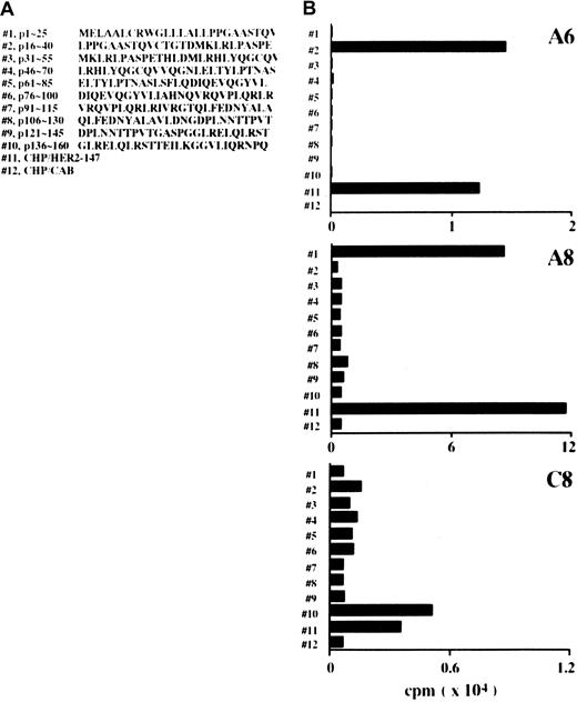 Fig. 5. CD4+ clones recognize HER2-derived peptides. / (A) Position and amino acid sequences of 25-mer peptides derived from HER2 protein. (B) Mitomycin C–treated spleen cells (5 × 106) were reacted with 10 μM 25-mer peptides for 1 hour at room temperature and an additional hour at 37°C and were used as stimulator cells. Mitomycin C–treated spleen cells (5 × 106) were also incubated with 20 μg/mL CHP/HER2-147 or CHP/CAB for 3 hours at 37°C, washed, recultured for 18 hours, and used as stimulator cells. Furthermore, 1 × 105 cells/well CD4+ T cell clones A6, A8, and C8 were cultured with 5 × 105stimulator cells/well for 5 days. Proliferation of responding cells was measured using 3H-TdR uptake assay. Each bar represents the average of duplicate measurements.