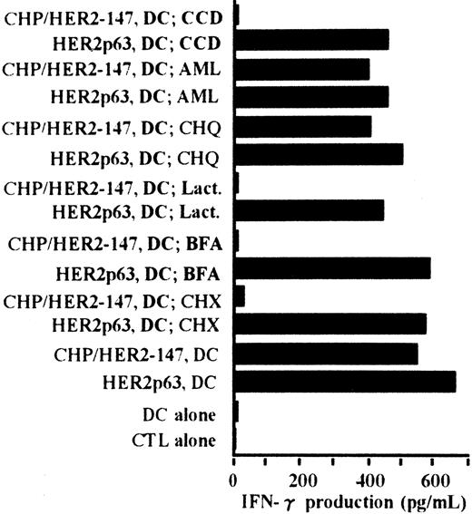 Fig. 6. Peptides derived from CHP/HER2-147 are presented on HLA-A2402 molecules through the conventional MHC class I pathway. / DCs (1 × 106) were cultured with cytochalasin D (CCD, 30 μg/mL), amiloride (AML, 0.2 mM), chloroquine (CHQ, 100 μM), lactacystin (Lact, 100 μM), brefeldin A (BFA, 5 μg/mL), or cycloheximide (CHX, 10 μg/mL) for 1 hour in the serum-free AIM-V medium, followed by incubation with or without 20 μg/mL protein CHP/HER2-147 for 3 hours. DCs were then cultured in the absence of the inhibitors, CHP/HER2-147, or HER2p63 for 18 hours in 10% FCS RPMI 1640 supplemented with GM-CSF and IL-4. DCs not cultured with CHP/HER2-147 were incubated with 10 μM HER2p63 for 1 hour at room temperature and for an additional hour at 37°C. DCs (1 × 106) that were not treated with the inhibitors were also cocultured with CHP/HER2-147 or HER2p63, as described in Figure 2B. For IFN-γ production assay, 1 × 105 cells/well of these DCs were incubated with 5 × 104 cells/well of the CTL clone Y.I.1a for 18 hours. IFN-γ production was measured in duplicate using an ELISA kit. Data are the average of duplicate measurements.