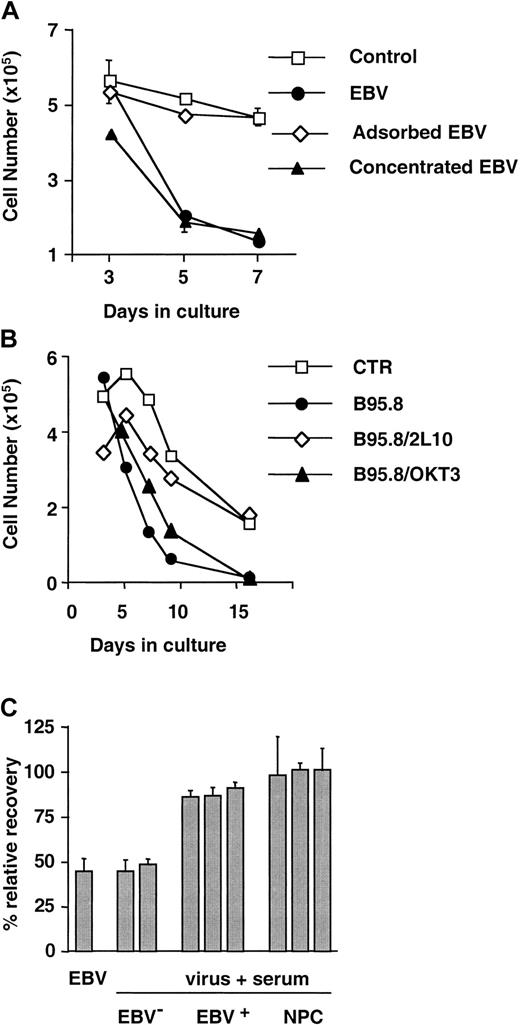 Fig. 5. Binding of the virus is required for the inhibition of DC development. / (A) The effect of the virus was abolished by adsorption on EBV receptor–positive cell lines and was enhanced by concentration. EBV was concentrated from B95.8 supernatant by ultracentrifugation, and EBV-depleted supernatant was obtained by adsorption on EBV receptor–positive Raji cells. Purified CD14+ monocytes were infected with untreated, absorbed, or concentrated B95.8 supernatant for 2 hours at 37°C and then were cultured in the presence of GM-CSF and IL-4. Results are from 1 of 3 to 5 representative experiments performed with each type of virus preparation. Mean ± SD of triplicates. (B) Virus absorption was performed using magnetic beads conjugated with 2L10 mAb. Beads conjugated with OKT3 mAb were used as control. Results are from 1 of 3 representative experiments. (C) Effect of the virus was neutralized by preincubation with EBV antibody–positive sera. B95.8 supernatant was preincubated for 30 minutes at room temperature with 1:20 dilution of sera from EBV antibody-negative (EBV−) or -positive (EBV+) healthy donors or from patients with nasopharyngeal carcinoma before it was used for infection of purified monocytes. The percentage recovery relative to uninfected controls is shown. Mean ± SD of 4 experiments.