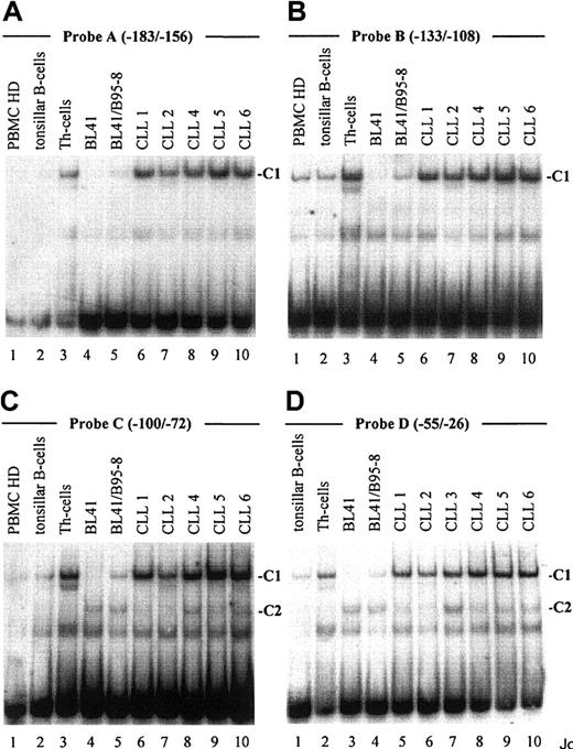 Fig. 2. An EBV-inducible transcription factor complex (C1) binds to 4 different oligonucleotide probes derived from the. / CD23a proximal promoter. Labeled oligonucleotides spanning potential transcription factor binding sites (probe A-D, Figure 1) were analyzed in EMSA by using nuclear extracts from B-CLL cell samples (Table 1), PBMCs from healthy donors (representative for n = 3), tonsillar B cells, Th cells, BL41 cells, and BL41/B95-8 cells as indicated. Major observed complexes (C1 in A-D, C2 in C,D) are indicated. The sequences of the different oligonucleotides used as probes are given in Figure 1.