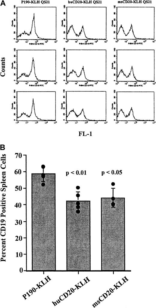 Fig. 3. Flow cytometry of CD19+ cells in spleens of vaccinated mice. / (A) Flow cytometric analysis of spleen cells from mice vaccinated with huCD20-KLH, msCD20-KLH, or P190-KLH control conjugate stained with rat antimouse CD19-FITC antibody. The X-axis is CD19 fluorescence. The Y-axis is the number of cells. (B) Percentage of CD19+cells in each group of vaccinated mice calculated from the data obtained in A. Bar represents the mean value ± SD. Values from individual mice are represented by circles. P values are for P190-KLH versus huCD20-KLH, and P190-KLH versus msCD20-KLH. This experiment was done twice with similar results.