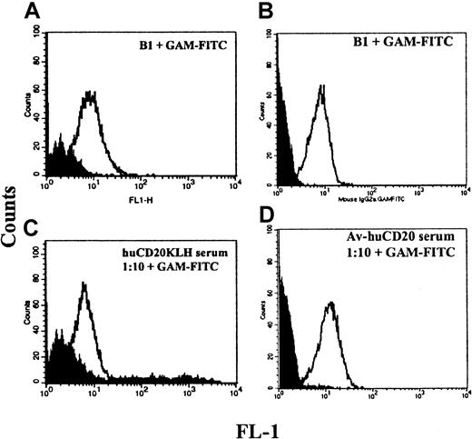 Fig. 4. Serologic responses of the vaccinated mice to CD20+ cells. / (A) Staining of Raji cells with B1 anti-CD20 monoclonal antibody compared with isotype control (shaded). (B) Binding of mouse serum from a huCD20-KLH–vaccinated mouse compared with serum from a control mouse vaccinated with P190-KLH (shaded). Both sera were diluted 1:10. (C) Binding of B1 compared with isotype control. (D) Binding of serum from a mouse vaccinated with huCD20-avidin at 1:10 dilution and from a mouse vaccinated with avidin only (shaded).