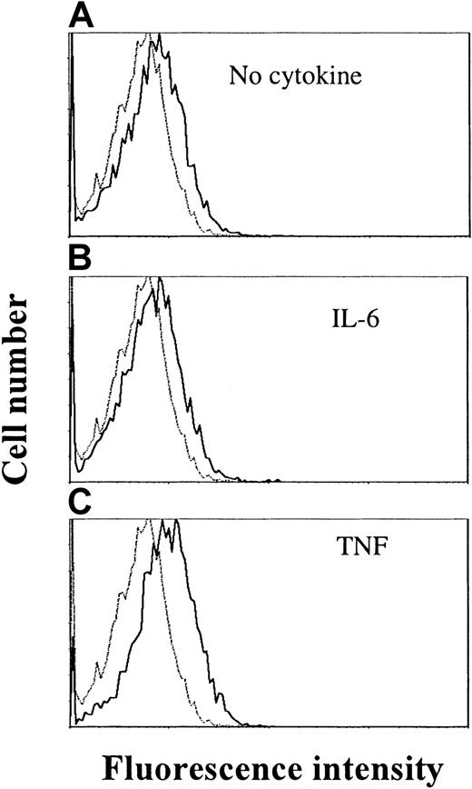 Fig. 4. TNF stimulation increases IL-21 receptor expression in OH-2 cells. / Cells were stimulated with TNF (10 ng/mL) or IL-6 (1 ng/mL) for 18 hours before the addition of streptavidin–PE-conjugated antibodies against IL-21R. Mean fluorescence intensities were 6.3 (control), 8.4 (no cytokine), 8.2 (IL-6), and 10.9 (TNF). Similar patterns were obtained in the cell line ANBL-6, and data shown are representative of 3 different experiments.
