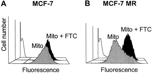 Fig. 1. Mitoxantrone accumulation. / Accumulation was measured flow cytometrically in MCF-7 (A) and MCF-7 MR (B) cell lines after 60 minutes of incubation without (blank) or with mitoxantrone (10 μM) in the presence (black) or absence (gray) of 10 μM FTC.