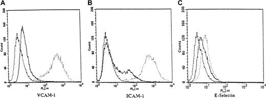 Fig. 4. Inhibition of cell adhesion molecule expression by ritonavir. / Flow cytometry (FACS) histograms of adhesion molecule expression were obtained from endothelial cells (HUVECs) that were treated in cultures (about 80% confluent) with TNF-α (5 ng/mL) or with TNF-α and ritonavir (20 μmol/L) for 4 hours. Aliquots of detached cells were stained with PE-conjugated antibodies for VCAM-1 (A), ICAM-1 (B), and E-selectin (C), as well as isotype-matched controls. Expression of adhesion molecules on TNF-α– and ritonavir-treated cells (solid line) was compared with TNF-α–stimulated cells (dotted line) and untreated cells (dashed line) as depicted in histogram overlays. Two independent experiments with similar results were performed.