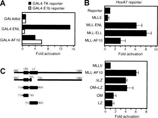 Fig. 5. AF10 transforming regions activate transcription when fused to GAL4 or MLL DNA-binding domains. / (A) A luciferase reporter gene containing GAL4 binding sites upstream of a thymidine kinase or E1b promoter was cotransfected into Raji cells with expression constructs encoding GAL4 fusions of ENL or AF10. Luciferase activity was corrected for transfection efficiency based on the activity of a cotransfected β-galactosidase expression construct. The transcriptional activating potential for each fusion construct is expressed as the fold induction relative to GAL4 DNA-binding domain alone. (B) A luciferase reporter gene under control of HoxA7 upstream sequences (pGL3-HoxA7) was cotransfected into 293T cells with expression constructs encodingMLL5′ or various MLL fusion cDNAs. Data were corrected for transfection efficiencies as described above and normalized to protein levels. Bars represent the mean and SD of 3 replicates. (C) The transcriptional activation properties of various mutant MLL-AF10 fusion cDNAs (shown schematically on the left) were determined using transient cotransfection conditions identical to those described in panel B.