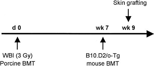 Fig. 2. Schematic illustration of the experimental design.