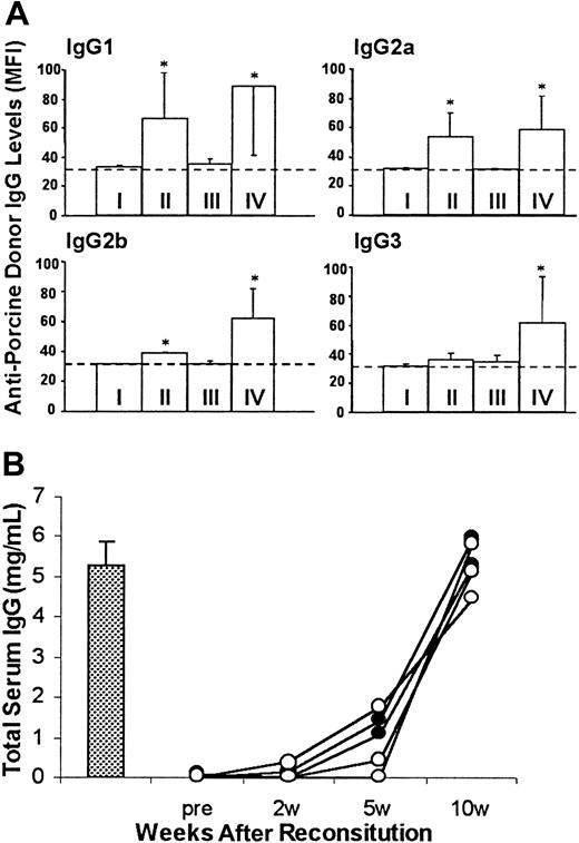 Fig. 5. Lack of antiporcine donor IgG antibodies in sera of B10.D2/o-Tg mouse BMC-reconstituted porcine hematopoietic chimeras that accepted porcine donor skin grafts. / (A) Levels of antiporcine donor IgG antibodies in sera collected at 10 weeks after reconstitution with B10.D2/o-Tg mouse BMCs (8 weeks after skin grafting). Antipig IgGs were measured by staining of porcine donor PBMCs with 2 or 10 μL serum and antibody levels are presented as MFI. The MFI level correlated directly with the volume of antibody-positive serum used for staining in each instance. Data are shown for the MFI levels of porcine PBMCs bound by 10 μL serum (group means ± SD) in NOD/SCID-Tg mice given transplants with porcine cells only (I; n = 4), B10.D2/o-Tg mouse BMCs only (II; n = 5), or with porcine cells plus B10.D2/o-Tg mouse BMCs that accepted (III; n = 5) or rejected (IV, n = 6) the skin graft of the porcine donor. The background level of MFI (ie, MFI of porcine PBMCs stained with FITC-conjugated secondary mAb only) is indicated as a dotted line. *P < .05 for antibody levels in the indicated group compared to the levels of the same IgG isotype in group I and in group III. Results from 2 similar experiments are combined. (B) Serum levels of total murine IgG in representative samples from group III (○; n = 3), group IV (●; n = 2), and normal B10.D2/o-Tg mice (bar, mean ± SD, n = 3) are shown.