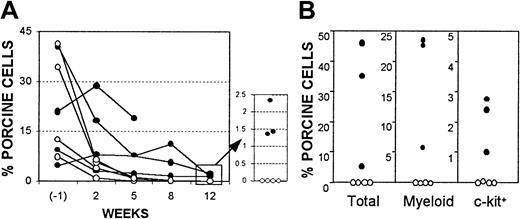 Fig. 6. Competitive advantage for murine hematopoiesis over porcine hematopoiesis in NOD/SCID-Tg mice. / Data are shown for porcine chimerism in porcine BM recipients with (○, n = 4) or without (●, n = 4, 1 mouse died 99 days after porcine BMT) subsequent injection of NOD/SCID-Tg mouse BMCs. (A) Percentages of antipig pan-tissue mAb-positive cells in recipient WBCs at 1 week before (6 weeks after porcine BMT), and weeks 2, 5, 8, and 12 after NOD/SCID-Tg mouse BMT. (B) Levels of porcine chimerism in recipient BM at week 12 after NOD/SCID-Tg mouse BMT. Percentages of antipig pan-tissue mAb+ (total), myeloid/SWC3 (74-22-15+), and c-kit+ (stained by pig SCF) cells are shown. Each symbol represents an individual animal.