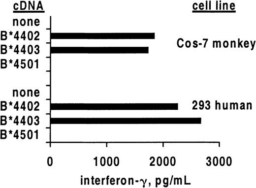 Fig. 2. Cross-reactive CD8 T-cell clones secrete IFN-γ in response to allogeneic HLA class I. / Mean secretion of IFN-γ by CD8 clone 5101.1999.23 in response to stimulation by the indicated primate renal epithelial cell lines transiently transfected with the indicated HLA class I heavy chain cDNA molecules. Results are representative of 3 experiments.