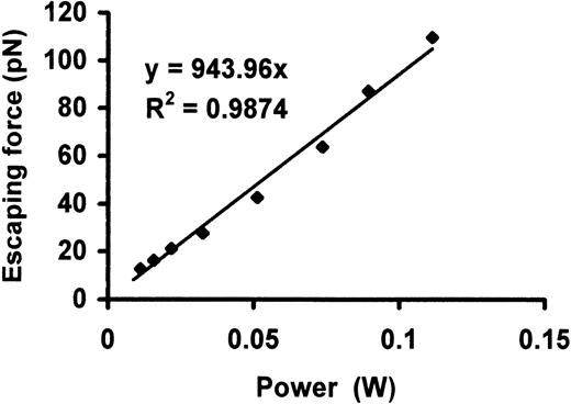 Fig. 3. Escaping force as a function of laser power after objective lens for a 2.0-μm polystyrene bead was placed at a height of 10 μm from the coverslip. / There was a linear relationship between the escaping force and laser power, with a slope of approximately 0.9 pN/mW.