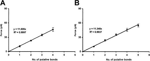 Fig. 8. A1 domain–GP Ib-IX binding. / Plots show the cumulative results of detachment of A1-coated beads (100 and 200 μg/mL A1 concentration; panels A and B, respectively) from CHO αβIX cells. Although the slopes are similar, more A1/GP Ib-IX bonds are formed when the 200 μg/mL VWF concentration is used (panel B). Each panel represents the mean values of 30 bead-cell detachments.
