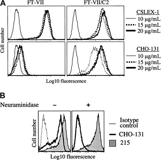 Fig. 2. Expression of the CHO-131 epitope by transfected CHO cells. / (A) CHO-131 stains at a high level the transfectant CHO/FucT-VII/C2GnT (FT-VII/C2), but not CHO/FucT-VII (FT-VII). The transfectants CHO/FucT-VII/C2GnT and CHO/FucT-VII were labeled with the indicated concentrations of CHO-131 or the anti-sLeX mAb CSLEX-1. Nonspecific antibody labeling was determined by the use of an isotype negative control mAb (thin solid lines). Cell staining levels were examined by flow cytometry. Representative data from multiple repetitions are shown. (B) CHO-131 reactivity requires sialic acid. The transfectant CHO/PSGL-1/FucT-VII/C2GnT was subjected to neuraminidase (0.25 U) or sham treatment and then labeled with CHO-131 or 215 (anti–PSGL-1) as indicated. Nonspecific antibody labeling was determined with the use of the appropriate isotype negative control mAbs (dotted line; mouse IgM control is shown). Cell staining levels were examined by flow cytometry, and 10 000 cells were examined per sample. Representative data from multiple repetitions are shown.