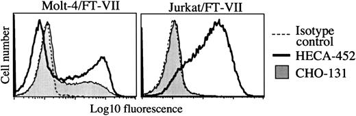 Fig. 3. CHO-131 staining of the transfectant Molt-4/FucT-VII but not of Jurkat/FucT-VII. / The transfected cell lines Molt-4/FucT-VII and Jurkat/FucT-VII were labeled with CHO-131 (15 μg/mL) or the anti-sLeX mAb HECA-452 (15 μg/mL), as indicated. Nonspecific antibody labeling was determined with the use of the appropriate isotype negative control mAbs (dashed line; mouse IgM control is shown). Cell staining levels were examined by flow cytometry, and 10 000 cells were examined per sample. Representative data from multiple repetitions are shown.