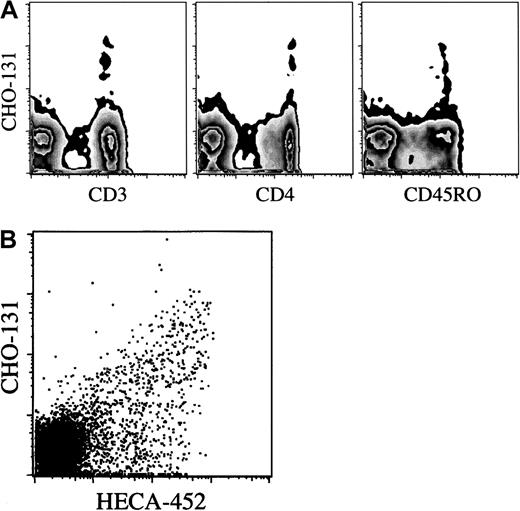 Fig. 5. Distribution of the CHO-131 epitope on lymphocyte subsets. / (A) CHO-131 stains CD4+ effector/memory T cells. Human peripheral blood, gated on lymphocytes (10 000 cells), were dual analyzed for their expression of the CHO-131 epitope and CD3, CD4, or CD45RO, as indicated. (B) CHO-131 stains a subset of CLA+lymphocytes. Peripheral blood lymphocytes, gated on CD3+lymphocytes (10 000 cells), were dual analyzed for their expression of CLA (HECA-452) and C2-O-sLeX (CHO-131), as indicated. Nonspecific antibody labeling was determined with the use of the appropriate isotype negative control mAbs (data not shown). Cell-staining levels were examined by flow cytometry. Representative data from multiple repetitions are shown.